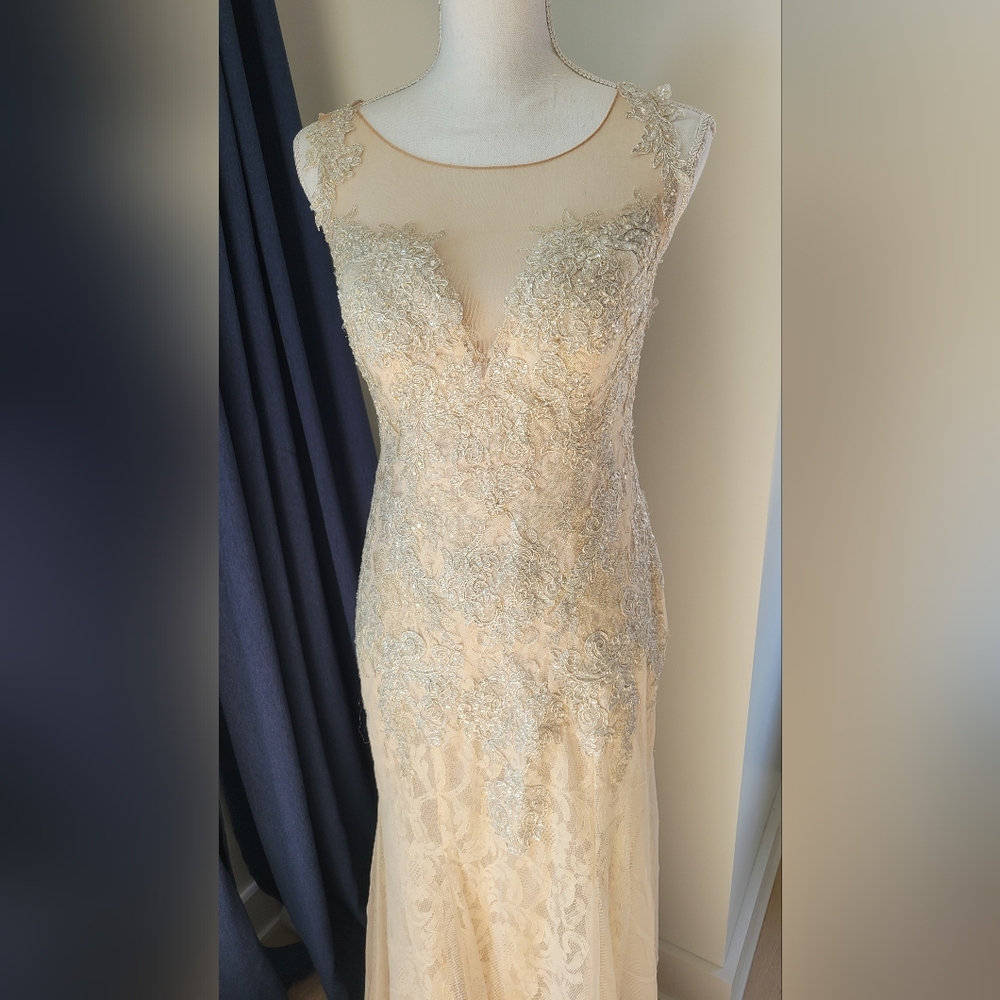 DAVIDS BRIDAL | Champagne Lace Beaded Dress - Picture 13 of 16